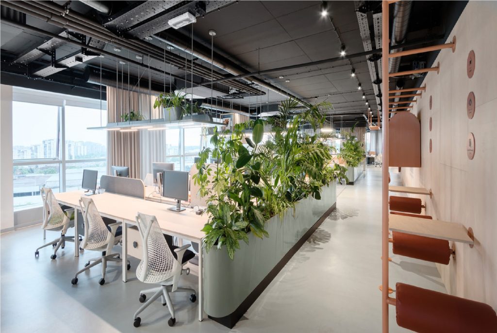Mẫu thiết kế văn phòng 30m2 kết hợp cây xanh