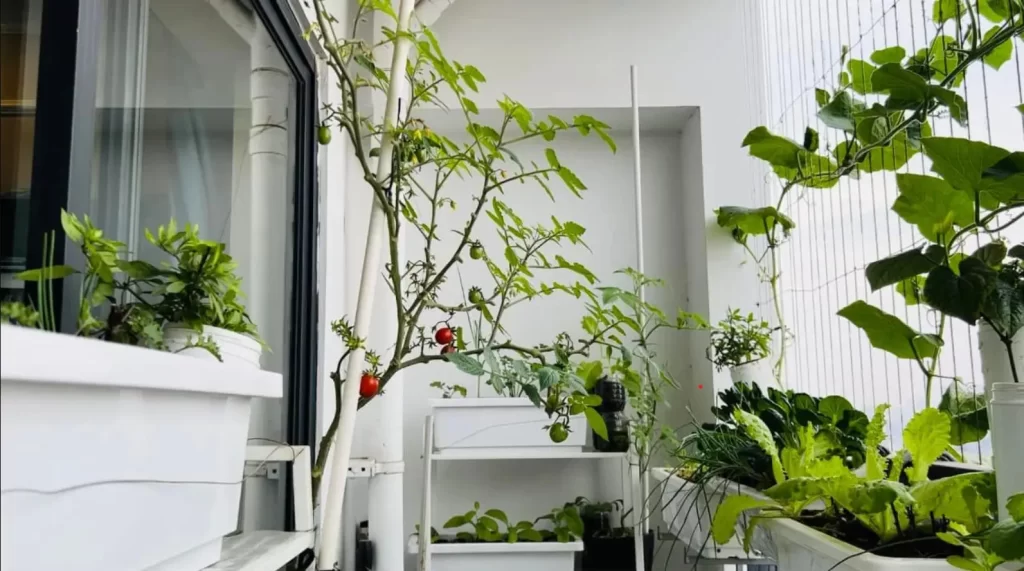 Bố trí ban công với bàn ghế nhỏ, cây xanh, đèn trang trí, tạo góc thư giãn xanh mát cho căn hộ 65m2.
