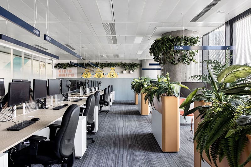 Thiết kế văn phòng 80m2 với cây xanh nội thất