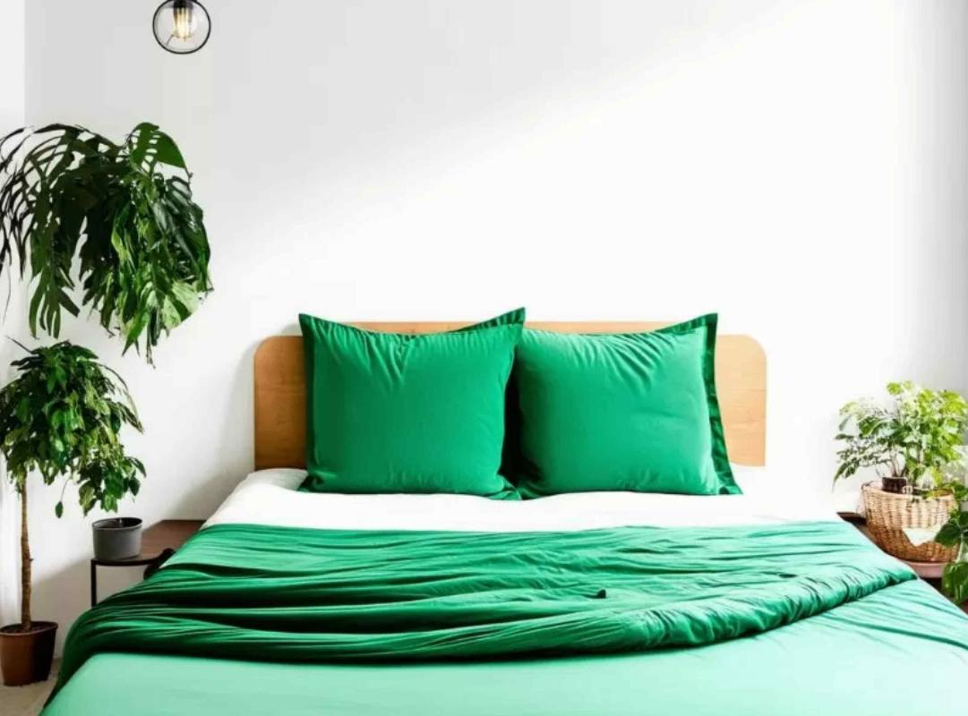 Mẫu phòng ngủ cho người mệnh mộc an lành