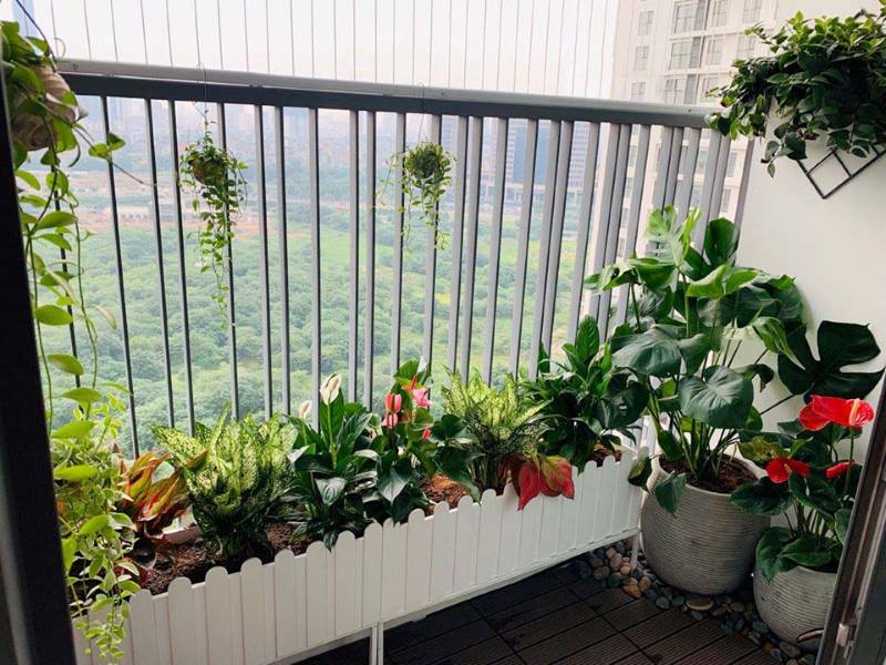 CĂN HỘ HƯỚNG TÂY NÊN THIẾT KẾ NỘI THẤT THẾ NÀO ĐỂ GIẢM NÓNG VÀ VẪN ĐẸP?