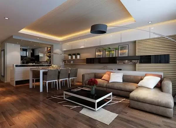 Thiết kế chung cư nhỏ phong cách Đương đại với sofa da.